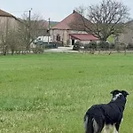 Gasthuis Ferme Des Champs