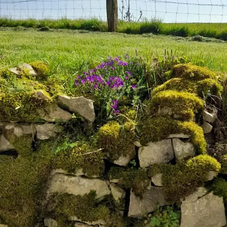 Ferme Des Champs ゲストハウス *