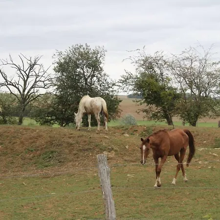 ゲストハウス Ferme Des Champs Vrécourt