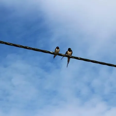 Maison d'hôtes Ferme Des Champs