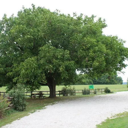 Ferme Des Champs