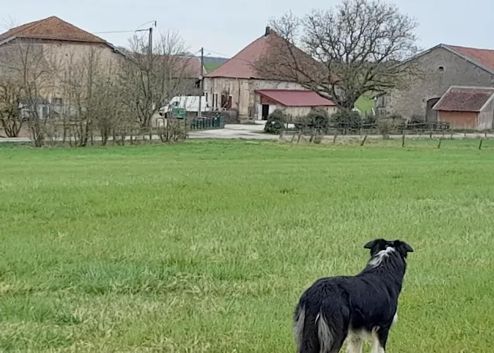 Affittacamere Ferme Des Champs