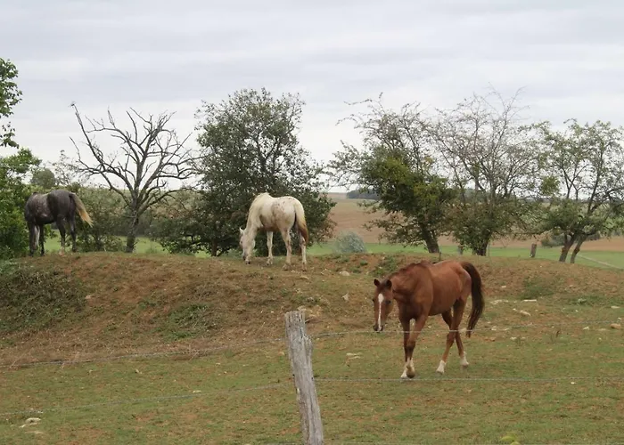 Affittacamere Ferme Des Champs Vrécourt