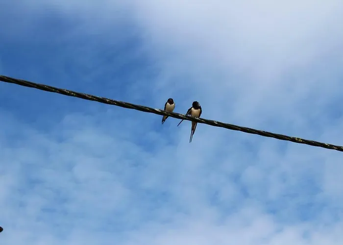 Affittacamere Ferme Des Champs