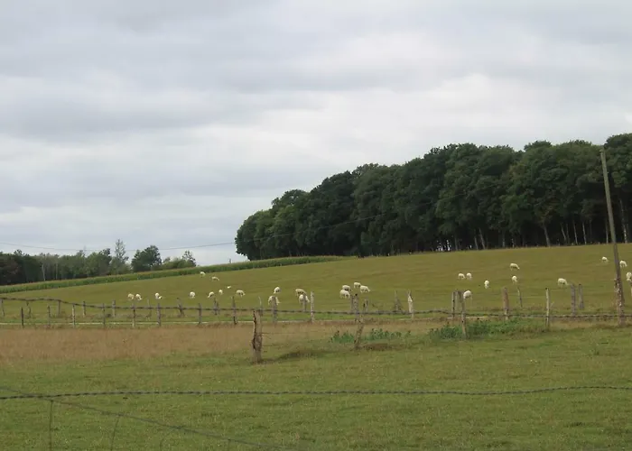 ゲストハウス Ferme Des Champs Vrécourt